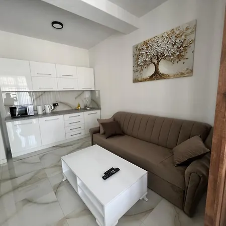 Apartment Mam Centar Free Parking Zivinice